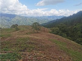  Terreno (Parcela) en venta en Roldanillo, Valle Del Cauca, Roldanillo