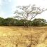  Land for sale in Bolivar, Turbaco, Bolivar