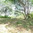  Land for sale in Bolivar, Turbaco, Bolivar