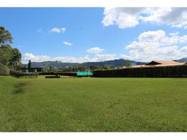  Land for sale in Rionegro, Antioquia, Rionegro