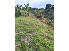  Land for sale in Colombia, Huila, Colombia