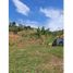  Land for sale in Colombia, Huila, Colombia