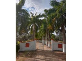  Terrain for sale in Sucre, Tolu, Sucre