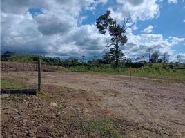  Land for sale in Pereira, Risaralda, Pereira