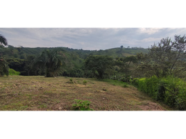  Land for sale in La Mesa, Cundinamarca, La Mesa