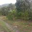  Land for sale in La Mesa, Cundinamarca, La Mesa