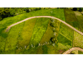  Terreno (Parcela) en venta en Ulloa, Valle Del Cauca, Ulloa