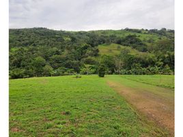  Land for sale in Villeta, Cundinamarca, Villeta