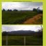  Land for sale in Cota, Cundinamarca, Cota