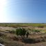  Land for sale in Bolivar, Cartagena, Bolivar