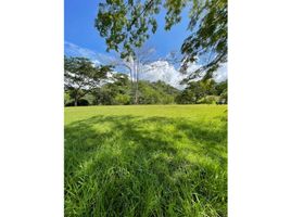  Terreno (Parcela) en venta en Titiribi, Antioquia, Titiribi