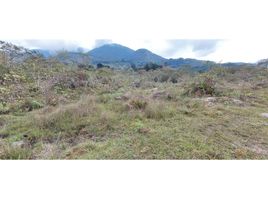  Terreno (Parcela) en venta en Chinacota, Norte De Santander, Chinacota