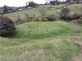  Terreno (Parcela) en venta en Guarne, Antioquia, Guarne