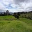  Land for sale in Guarne, Antioquia, Guarne