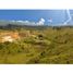  Land for sale in Guarne, Antioquia, Guarne