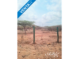  Land for sale in Tubara, Atlantico, Tubara