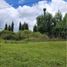  Land for sale in Guarne, Antioquia, Guarne