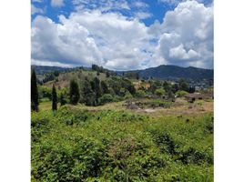  Terreno (Parcela) en venta en Guarne, Antioquia, Guarne