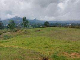  Land for sale in Rionegro, Antioquia, Rionegro