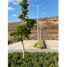  Land for sale in Jiquilpan, Michoacan, Jiquilpan