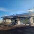  Land for sale in Jiquilpan, Michoacan, Jiquilpan