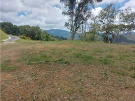  Land for sale in Rionegro, Antioquia, Rionegro