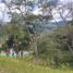  Land for sale in Rionegro, Antioquia, Rionegro