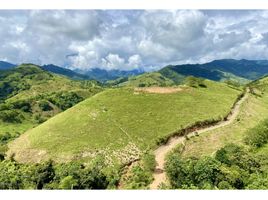  Terreno (Parcela) en venta en Bolivar, Antioquia, Bolivar