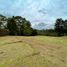  Land for sale in Rionegro, Antioquia, Rionegro