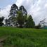  Land for sale in Pereira, Risaralda, Pereira