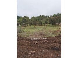  Land for sale in Cauca, Popayan, Cauca