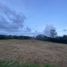  Land for sale in La Ceja, Antioquia, La Ceja