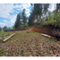  Land for sale in Azuay, Chiquintad, Cuenca, Azuay