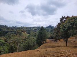  Land for sale in Rionegro, Antioquia, Rionegro