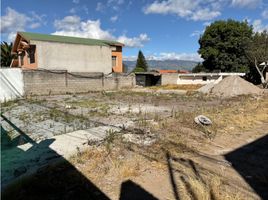  Terreno (Parcela) en alquiler en Pichincha, Conocoto, Quito, Pichincha