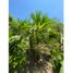  Land for sale in Santa Marta, Magdalena, Santa Marta, Magdalena