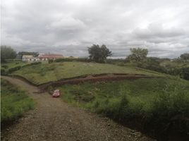  Terreno (Parcela) en venta en Ulloa, Valle Del Cauca, Ulloa