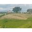  Land for sale in Valle Del Cauca, Ulloa, Valle Del Cauca