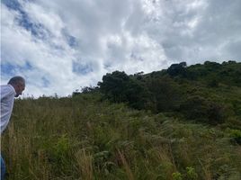  Land for sale in Sabaneta, Antioquia, Sabaneta