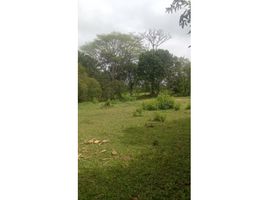  Terreno (Parcela) en venta en Dosquebradas, Risaralda, Dosquebradas