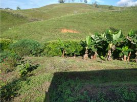  Terreno (Parcela) en venta en Manizales, Caldas, Manizales