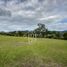  Terreno (Parcela) en venta en La Ceja, Antioquia, La Ceja, Antioquia