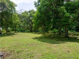  Land for sale in San Jeronimo, Antioquia, San Jeronimo