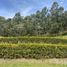  Grundstück zu verkaufen in Rionegro, Antioquia, Rionegro