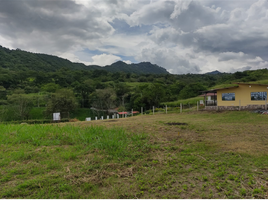  Terreno (Parcela) en venta en La Mesa, Cundinamarca, La Mesa