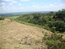  Land for sale in Jamundi, Valle Del Cauca, Jamundi