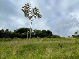  Terreno (Parcela) en venta en Jamundi, Valle Del Cauca, Jamundi