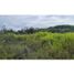  Land for sale in Rivera, Huila, Rivera