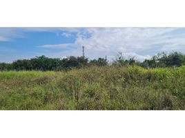  Land for sale in Rivera, Huila, Rivera