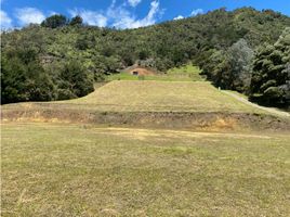  Grundstück zu verkaufen in Rionegro, Antioquia, Rionegro